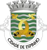 Brasão de Espinho