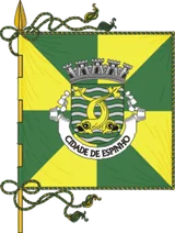 Bandeira de Espinho