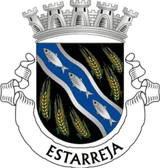Brasão de Estarreja