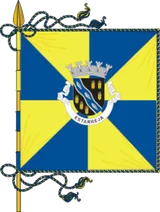 Bandeira de Estarreja