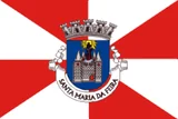 Bandeira de Santa Maria da Feira