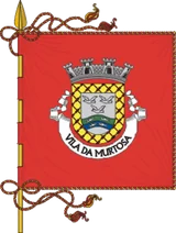 Bandeira de Murtosa