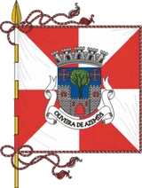 Bandeira de Oliveira de Azeméis