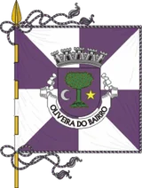 Bandeira de Oliveira do Bairro