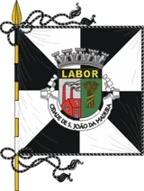 Bandeira de São João da Madeira