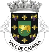 Brasão de Vale de Cambra