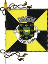 Bandeira de Vale de Cambra