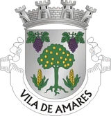 Brasão de Amares