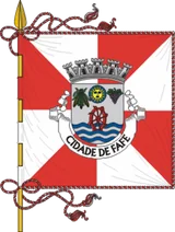 Bandeira de Fafe Bandeira de Fafe
