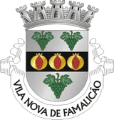 Coat of arms of Vila Nova de Famalicão