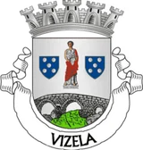 Brasão de Vizela