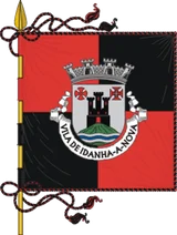 Bandeira de Idanha-a-Nova