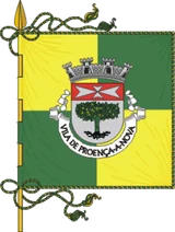 Bandeira de Proença-a-Nova