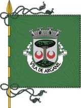 Bandeira de Arganil Bandeira de Arganil