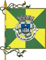 Bandeira de Figueira da Foz