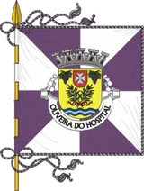 Bandeira de Oliveira do Hospital