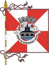 Bandeira de Montemor-o-Novo