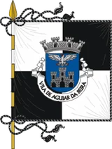 Flag of Aguiar da Beira