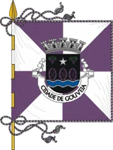 Bandeira de Gouveia