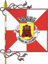 Flag of Guarda