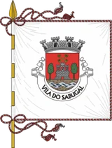Bandeira de Sabugal