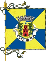 Bandeira de Seia Bandeira de Seia