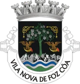 Brasão de Vila Nova de Foz Côa Brasão de Vila Nova de Foz Côa