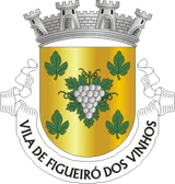 Brasão de Figueiró dos Vinhos Brasão de Figueiró dos Vinhos