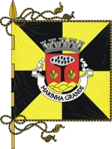 Flag of Marinha Grande
