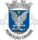 Brasão de Pedrógão Grande