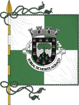 Bandeira de Sobral de Monte Agraço