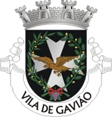 Brasão de Gavião Brasão de Gavião