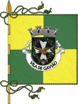 Bandeira de Gavião Bandeira de Gavião