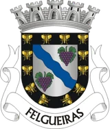 Brasão de Felgueiras