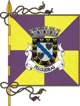 Bandeira de Felgueiras