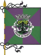 Bandeira de Paredes