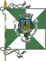 Flag of Porto Flag of Porto