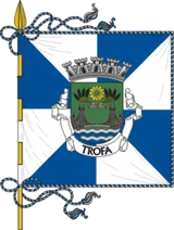 Bandeira de Trofa Bandeira de Trofa