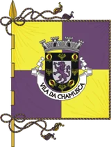Bandeira de Chamusca