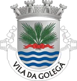 Brasão de Golegã