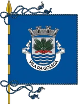 Bandeira de Golegã