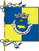 Bandeira de Salvaterra de Magos