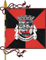 Bandeira de Barreiro Bandeira de Barreiro