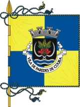 Bandeira de Paredes de Coura Bandeira de Paredes de Coura