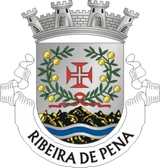 Brasão de Ribeira de Pena