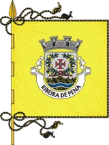 Bandeira de Ribeira de Pena