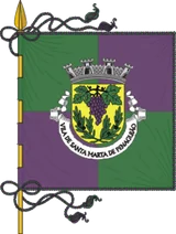 Bandeira de Santa Marta de Penaguião
