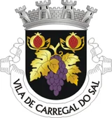 Brasão de Carregal do Sal