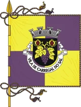 Bandeira de Carregal do Sal