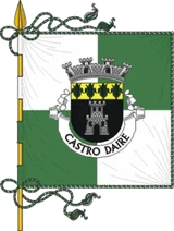 Bandeira de Castro Daire